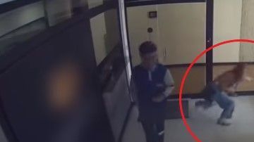 Los reflejos de esta mujer han sorprendido a todos.