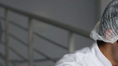 Si quieres seguridad y un buen salario, deberías considerar estudiar estas carreras.