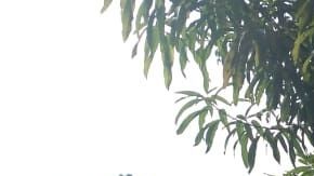 Comienza la militarización en la frontera sur de México.