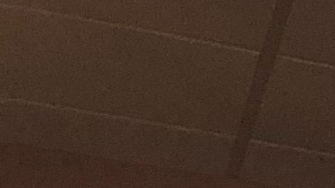 María Herrón, dueña de la librería Mil Mundos de Bushwick.