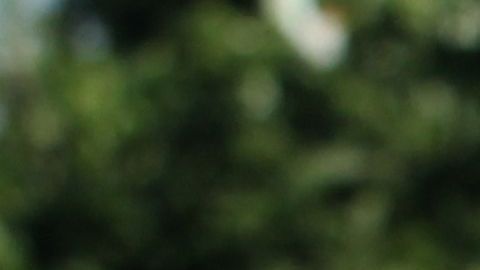 Naasón Joaquín García camina en medio de sus seguidores en la iglesia La Luz del Mundo en Guadalajara, México.