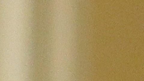 Newsom invitó a todos los californianos a participar en el Censo 2020