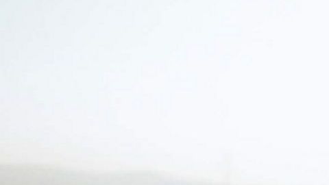 Solo 6 millones de padres nunca se han casado.