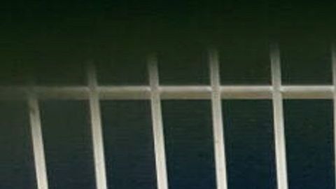 Los pasajeros declararon llevar seis aves en lugar de 32.