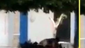 No les importó que mucha gente pasara por esta importante vialidad.