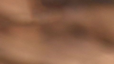 Hasta ahora solo se pueden cobrar horas extraordinarias cuando el salario anual esté por debajo de $23,660./Shutterstock