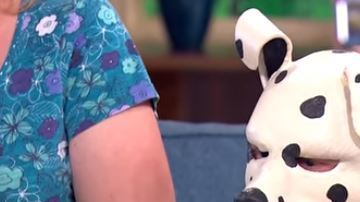 El increíble caso de Tom Peters, que al salir del trabajo vive dálmata.