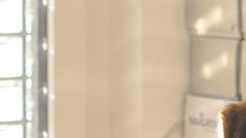 Hay un departamento especial para gestionar el registro y acomodo de los perros.