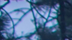 peter-pryharski-432379-unsplash