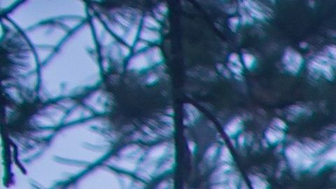 peter-pryharski-432379-unsplash