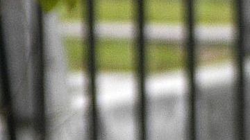 Los hechos ocurrieron el pasado 9 de abril, cuando la mujer fue hallada muerta en el patio trasero de su casa.