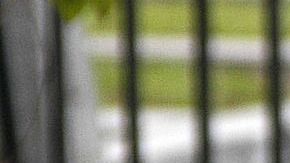 police-line-3953745_1920