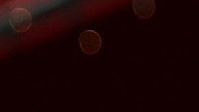 Tras el huracán María, la diáspora boricua salió en defensa de su gente.