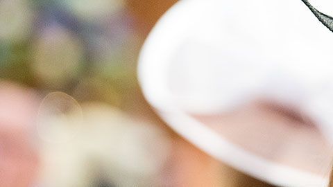 Antes de dedicarse a sus labores reales de tiempo completo, estos nobles hicieron trabajos un poco más comunes.