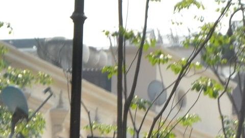 Un homicidio en pleno centro de Cuernavaca causó conmoción a inicios de mayo.