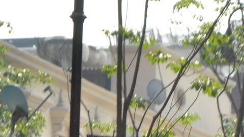 Un homicidio en pleno centro de Cuernavaca causó conmoción a inicios de mayo.