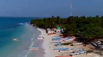 El 99% de los turistas de EEUU dicen que volverían a RD de vacaciones, indica un reporte.