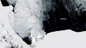 Imagen en color natural de una polinia frente a la costa de la Antártida.