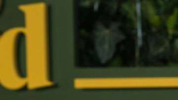 Salma Hayek luce radiante.