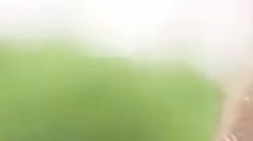 "Nombrar a Jeff Sessions fue el peor error de mi presidencia"