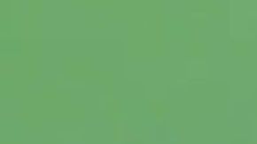 En los 42 minutos de video se puede ver el sufrimiento de la mamá delfín.