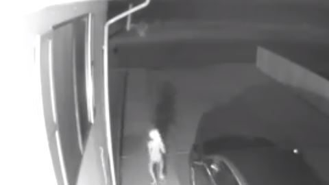 Es una criatura de baja estatura y orejas puntiagudas.