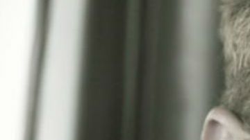 Ryan Phillippe en "Shooter"