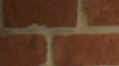 shutterstock_1023568351