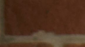 shutterstock_1023568351