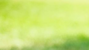 Agarraron al bebé infraganti.