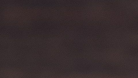 shutterstock_1108182914