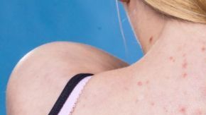 shutterstock_1130994779