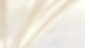 shutterstock_1162129096