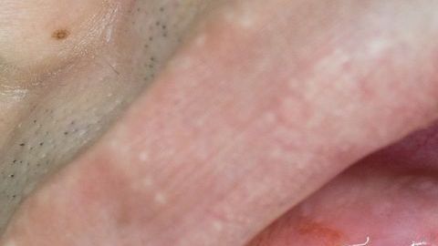 shutterstock_1202482423