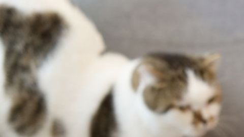 Aspirar la menstruación no es buena idea.