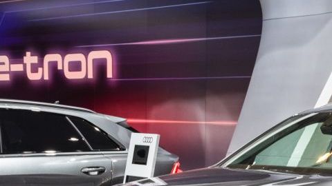 shutterstock_1300647499