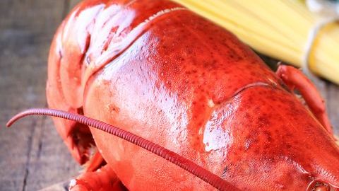 La venganza es dulce: se volvió inalcanzable para los que la despreciban.