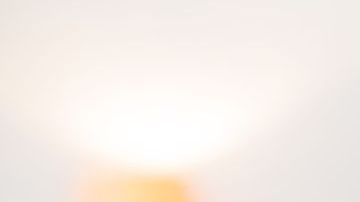 shutterstock_343653155