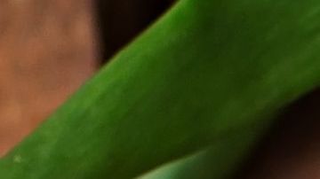 shutterstock_404461834