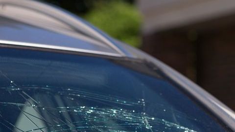 shutterstock_495196522