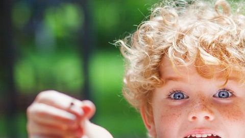 shutterstock_668893216