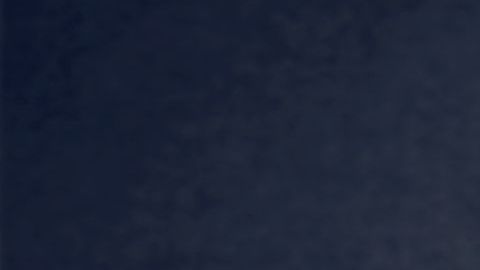 shutterstock_679167652