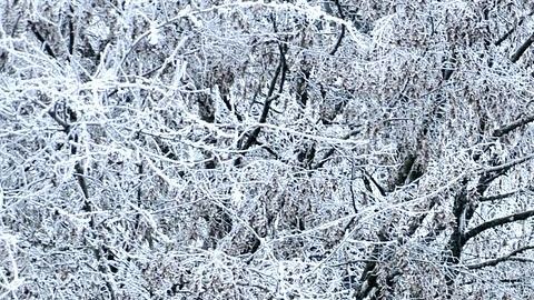 snow-4208253_1920-Pixabay