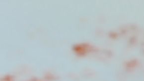 spaghetti-3547078_1920