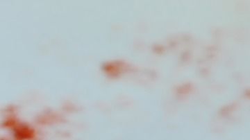 spaghetti-3547078_1920