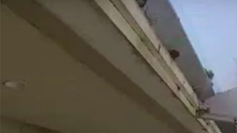 El padre al rescate.