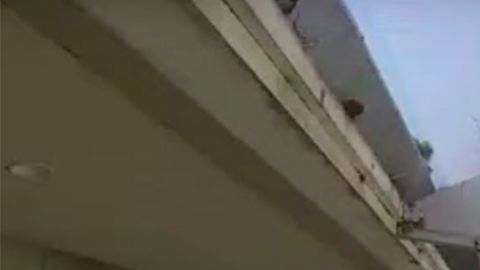 El padre al rescate.