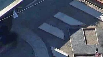 Polémica por la construcción de una esvástica gigante en un jardín