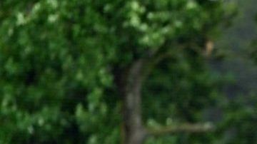 Gerardo Martino Impone un estilo de juego al frente de la Selección Mexicana