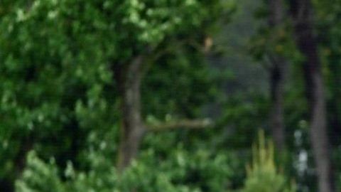 Gerardo Martino Impone un estilo de juego al frente de la Selección Mexicana